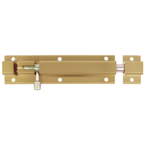 PASADOR AMIG 501-100 ORO