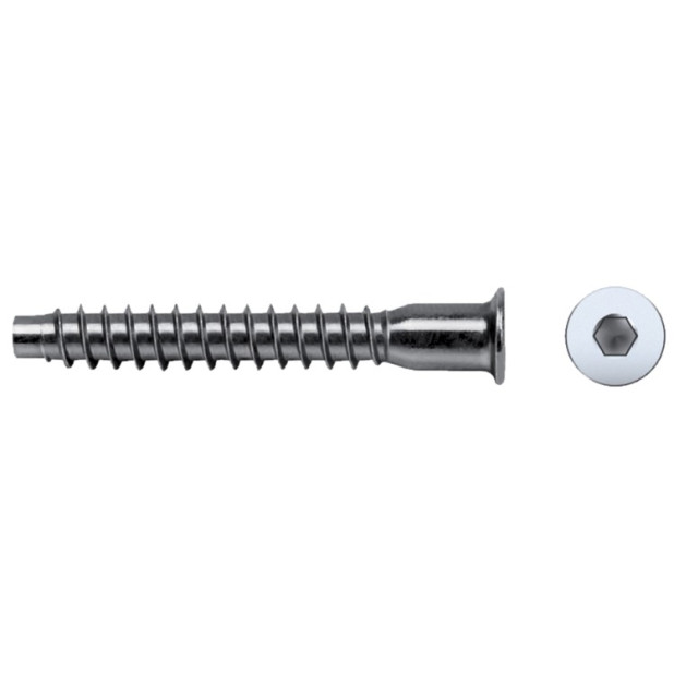 TIRAFONDO ENSAMBLAJE ALLEN 5x50 ZINC