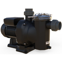 BOMBA SENA 1,25 CV. MONOF.