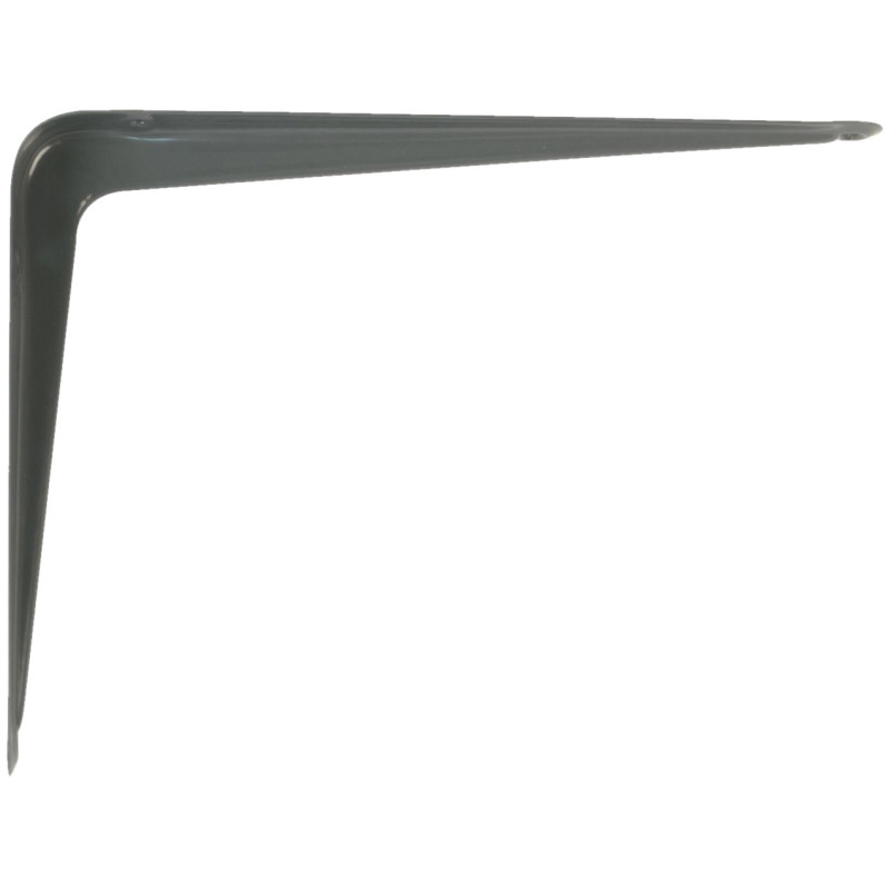 PALOMILLA AMIG 1-250x200 GRIS