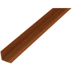 ANGULO 20x20-2,5M PVC SAPELLI