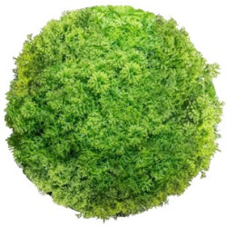 BOLA MUSGO 20CM