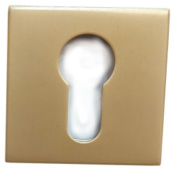 BOCALLAVE MOD.814Y ACERO INOX ORO MATE