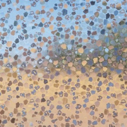 PLASTICO ADHESIVO LENS GLC-1084 46cmx1,5m