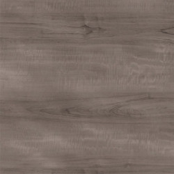 VINILO ADHESIVO ESTAMPADO KOALA 90cmx2m