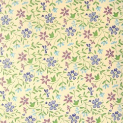 VINILO ADHESIVO ESTAMPADOS CHAMPS 45cmx2m