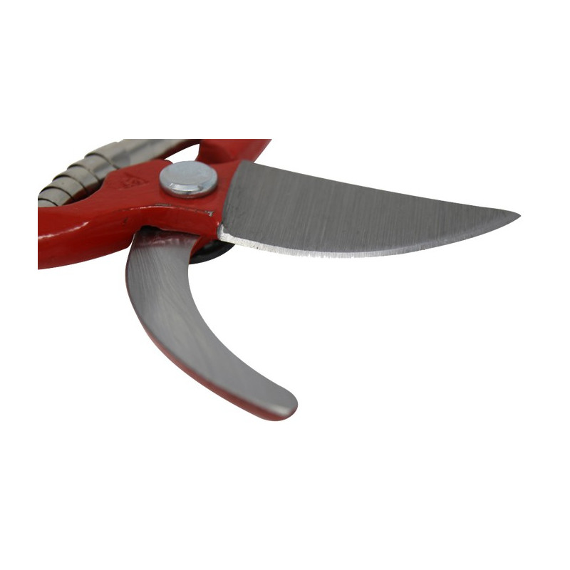 TIJERA BELLOTA UNIVERSAL FORJADA