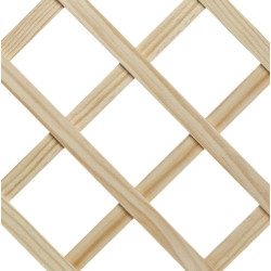 CELOSIA PINO F-1 ANCHA 57mm.