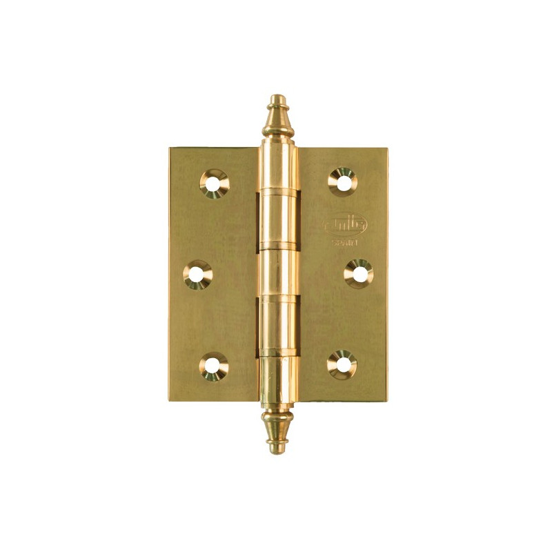 BISAGRA AMIG 1008 80x60 LATON PULIDO