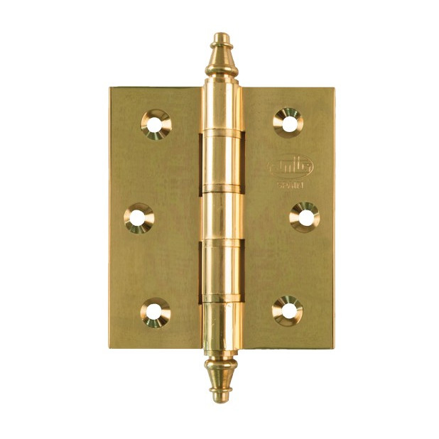 BISAGRA AMIG 1008 100x70 LATON PULIDO