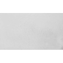 PLACA LISA YESO 1000X600MM