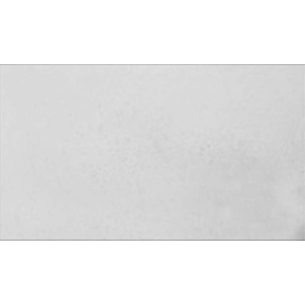 PLACA LISA YESO 1000X600MM