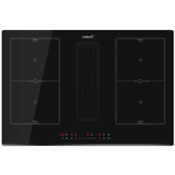 PLACA CATA C/CAMPANA INTEGRADA IAS 7024.