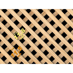 CELOSIA MORERA A-4 CLASICA 11,8mm.