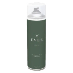 SPRAY MALOS OLORES EVER 250ML