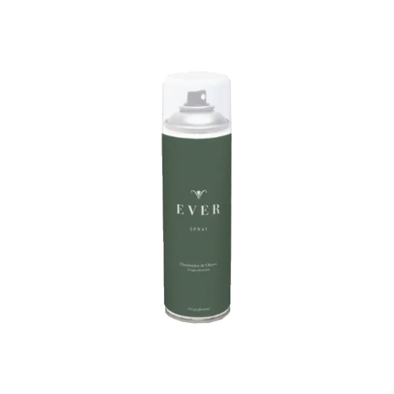 SPRAY MALOS OLORES EVER 250ML