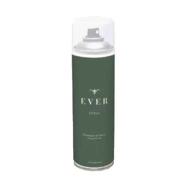 SPRAY MALOS OLORES EVER 250ML