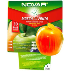 TRAMPA MOSCA DE LA FRUTA