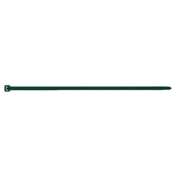 BRIDAS NYLON VERDE 2,5x100 BLISTER 100 UND