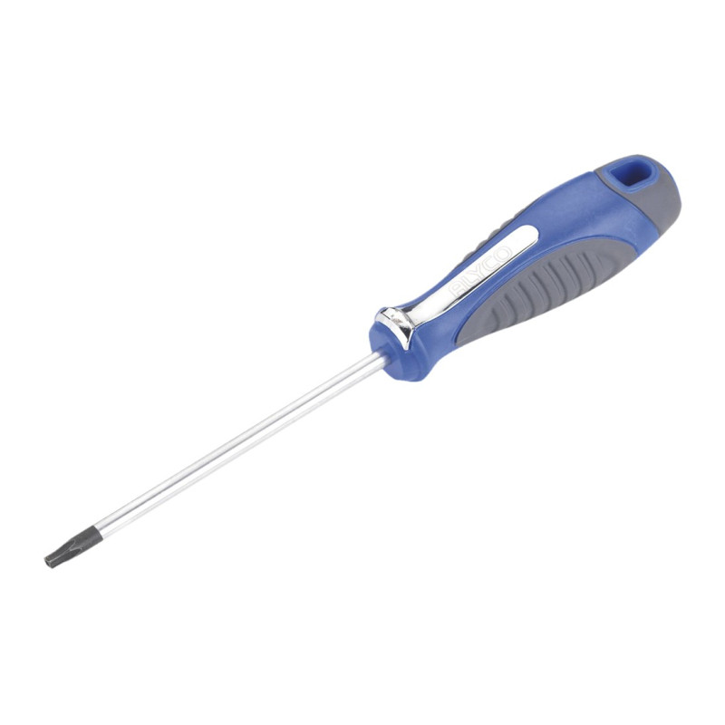 DESTORN. TORX INVI. T10X80