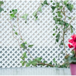 CELOSIA PVC 18MM 1x2MTS. BLANCO