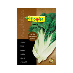 SEMILLA VERDE PENCA BLANCA