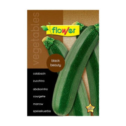 SEMILLA CALABACIN BLACK BEAUTY