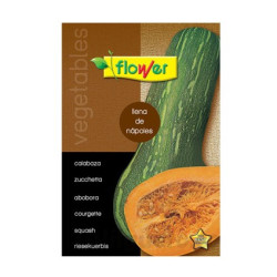 SEMILLA CALABAZA LLENA DE NAPOLES