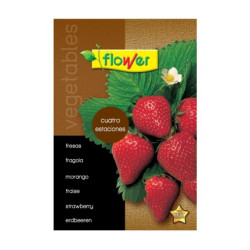 SEMILLA FRESAS CUATRO ESTACIONES