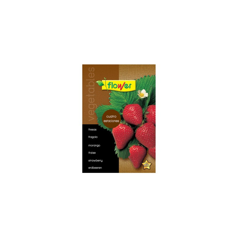 SEMILLA FRESAS CUATRO ESTACIONES
