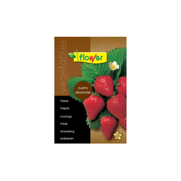 SEMILLA FRESAS CUATRO ESTACIONES