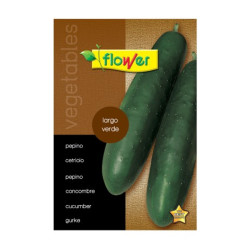 SEMILLA PEPINO ASHLEY