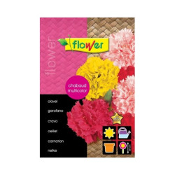 SEMILLA CLAVEL CHABAUD MULTICOLOR