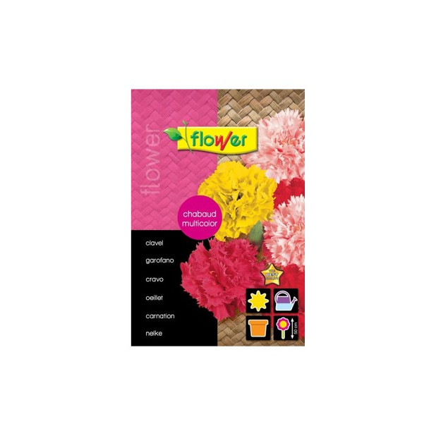 SEMILLA CLAVEL CHABAUD MULTICOLOR