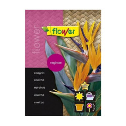 SEMILLA AVE DEL PARAISO