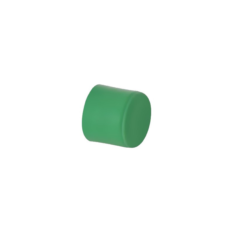 TAPON PPR 25MM