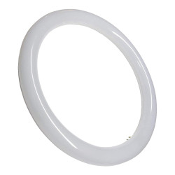 TUBO LED CIR. 15W G10Q 1500LM 65K